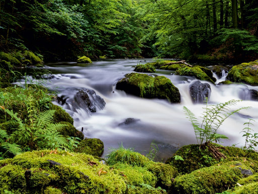 Sommer im Bodetal - CALVENDO Foto-Puzzle - calvendoverlag 29.99