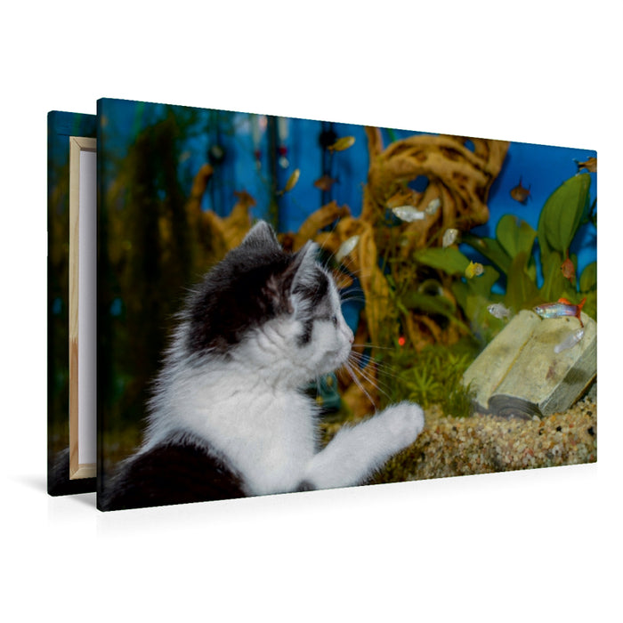 Premium Textil-Leinwand Premium Textil-Leinwand 120 cm x 80 cm quer Katze Hope und die Fische