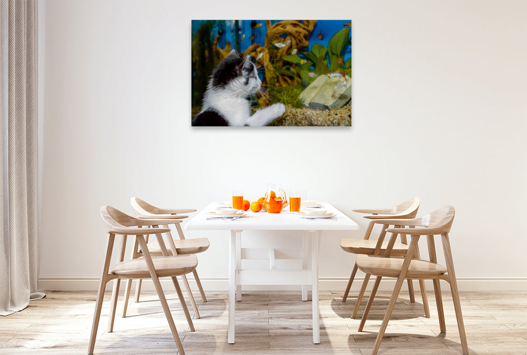 Premium Textil-Leinwand Premium Textil-Leinwand 120 cm x 80 cm quer Katze Hope und die Fische