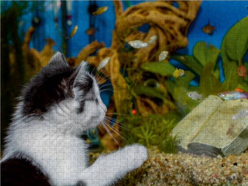 Katze Hope und die Fische - CALVENDO Foto-Puzzle - calvendoverlag 29.99