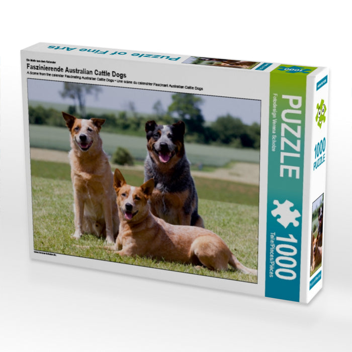 Faszinierende Australian Cattle Dogs - CALVENDO Foto-Puzzle - calvendoverlag 29.99