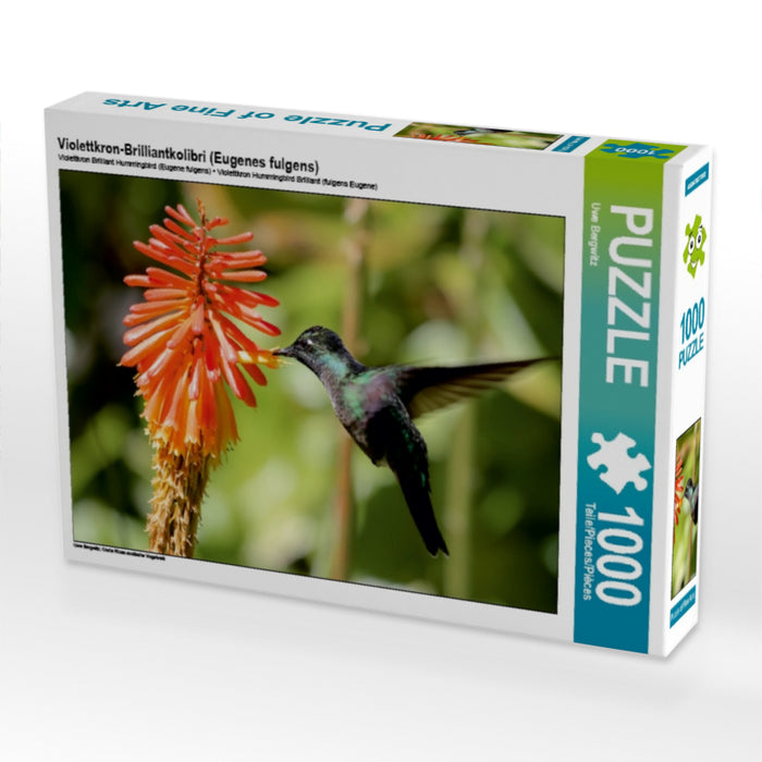 Violettkron-Brilliantkolibri (Eugenes fulgens) - CALVENDO Foto-Puzzle - calvendoverlag 29.99