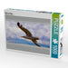 Möwe im Flug - CALVENDO Foto-Puzzle - calvendoverlag 29.99