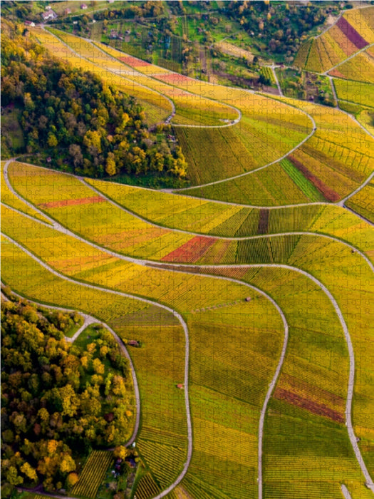 Weinberge zwischen Kappelberg und Rotenberg - CALVENDO Foto-Puzzle - calvendoverlag 29.99