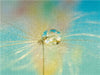 Blue Drop - CALVENDO Foto-Puzzle - calvendoverlag 29.99