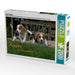 agle Puppies - CALVENDO Foto-Puzzle - calvendoverlag 39.99