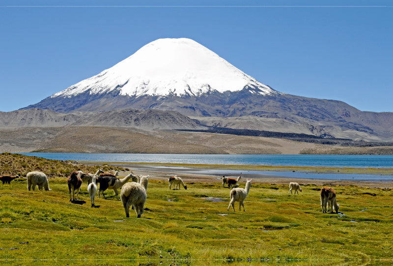 Toile textile premium Toile textile premium 120 cm x 80 cm paysage Volcan Parinacota, Parc National Lauca, Norte Grande 