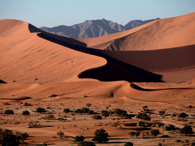 Dünenlandschaft im Namib-Naukluft-Nationalpark - CALVENDO Foto-Puzzle - calvendoverlag 29.99