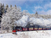 Brockenbahn, Harz - CALVENDO Foto-Puzzle - calvendoverlag 39.99