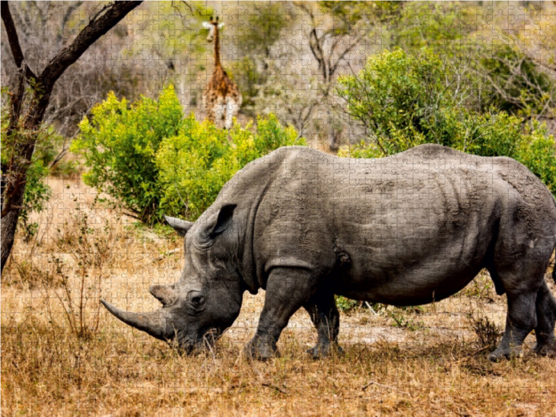 Nashorn und Giraffe - CALVENDO Foto-Puzzle - calvendoverlag 29.99