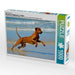 Rhodesian Ridgebacks in Aktion - CALVENDO Foto-Puzzle - calvendoverlag 29.99