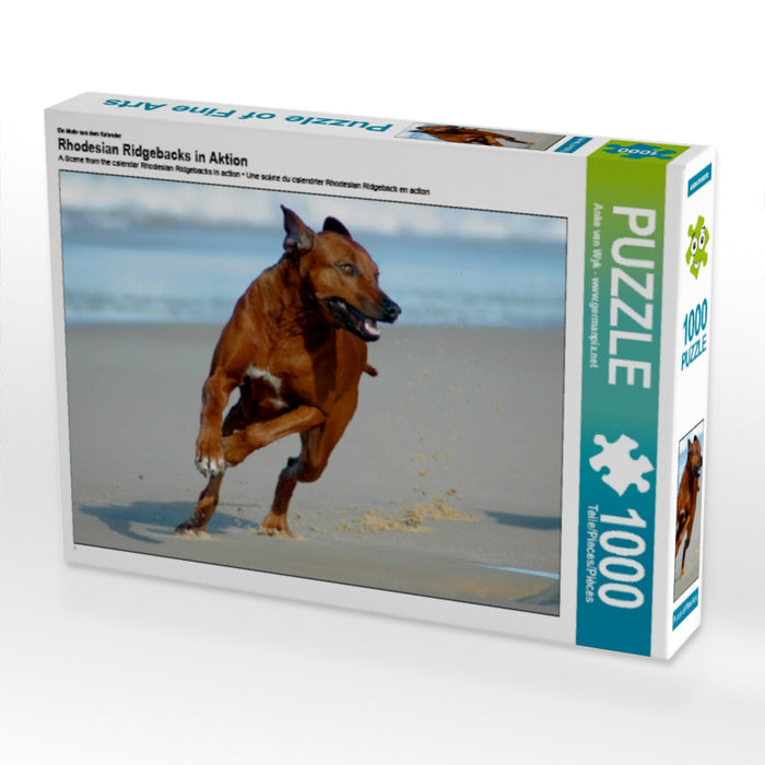 Rhodesian Ridgebacks in Aktion - CALVENDO Foto-Puzzle - calvendoverlag 29.99