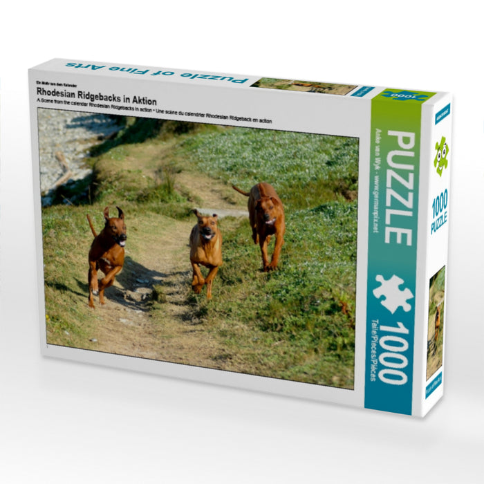 Rhodesian Ridgebacks in Aktion - CALVENDO Foto-Puzzle - calvendoverlag 29.99