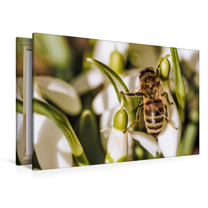 Premium textile canvas Premium textile canvas 120 cm x 80 cm landscape A motif from the Animal Garden calendar 