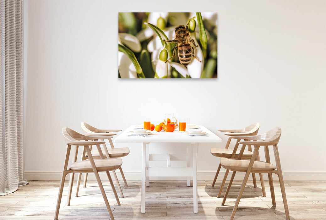 Premium textile canvas Premium textile canvas 120 cm x 80 cm landscape A motif from the Animal Garden calendar 