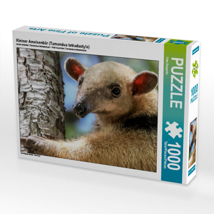 Kleiner Ameisenbär (Tamandua tetradactyla) - CALVENDO Foto-Puzzle - calvendoverlag 29.99