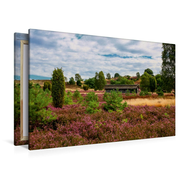 Premium Textil-Leinwand Premium Textil-Leinwand 120 cm x 80 cm quer Sonne auf der Heide