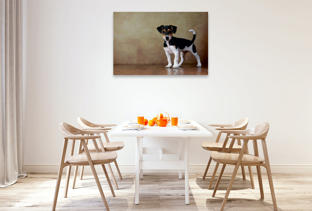 Premium Textil-Leinwand Premium Textil-Leinwand 120 cm x 80 cm quer Liu - Jack Russell Terrier, 10 Wochen