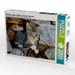 Niedliches junges Kätzchen auf einem Holzstapel - CALVENDO Foto-Puzzle - calvendoverlag 33.99