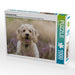 Labradoodle Welpe - CALVENDO Foto-Puzzle - calvendoverlag 32.99