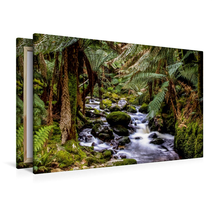 Premium Textil-Leinwand Premium Textil-Leinwand 120 cm x 80 cm quer St. Columba Falls in Tasmanien