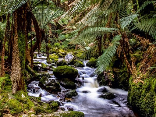 St. Columba Falls in Tasmanien - CALVENDO Foto-Puzzle - calvendoverlag 29.99