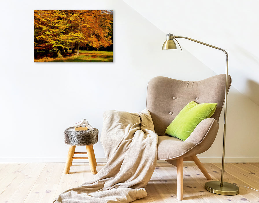 Premium Textil-Leinwand Premium Textil-Leinwand 75 cm x 50 cm quer Wundervoller Herbst! Ein Motiv aus dem Kalender Jahresringe - Bäume als Wegbegleiter