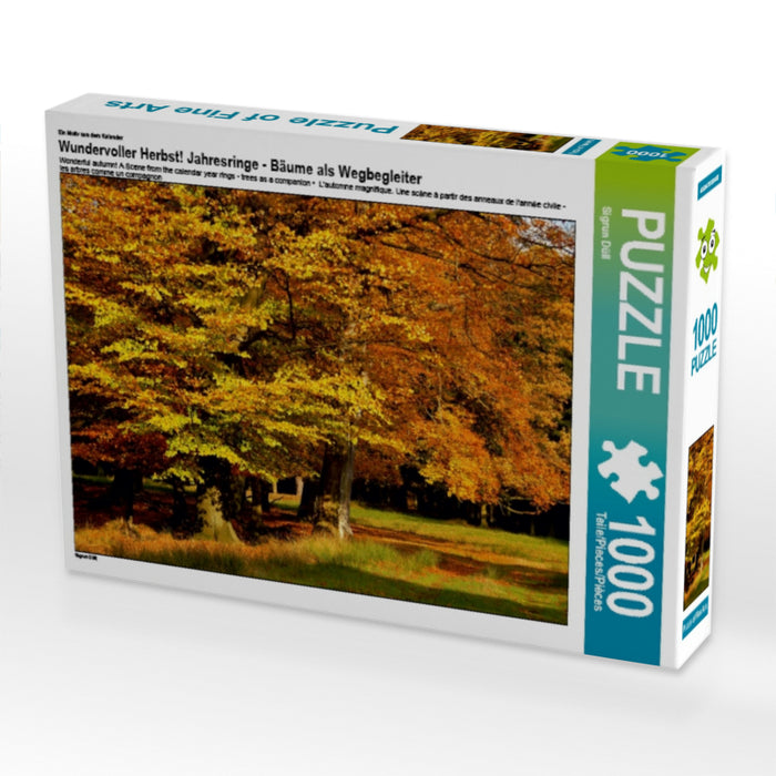 Wundervoller Herbst! Ein Motiv aus dem Kalender Jahresringe - Bäume als Wegbegleiter - CALVENDO Foto-Puzzle - calvendoverlag 29.99