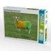 in den Farben Donegals angemaltes Schaf - CALVENDO Foto-Puzzle - calvendoverlag 39.99