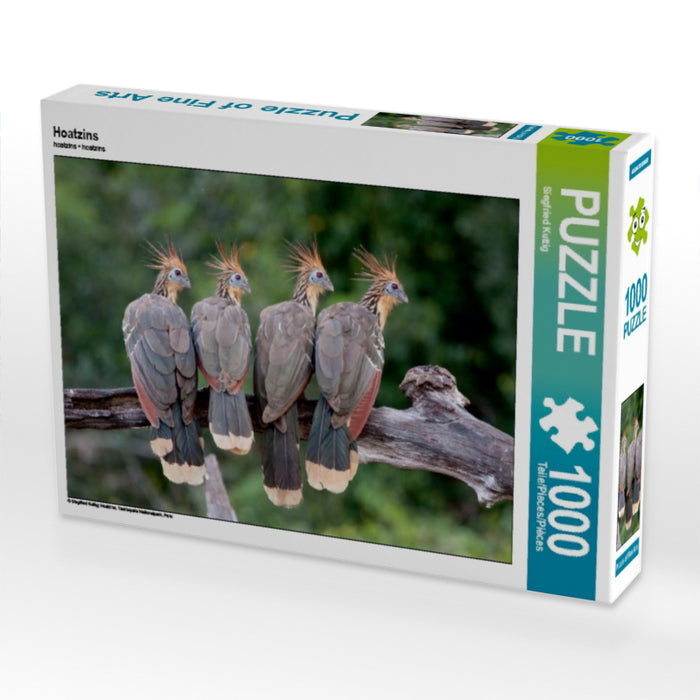 Hoatzins - CALVENDO Foto-Puzzle - calvendoverlag 39.99