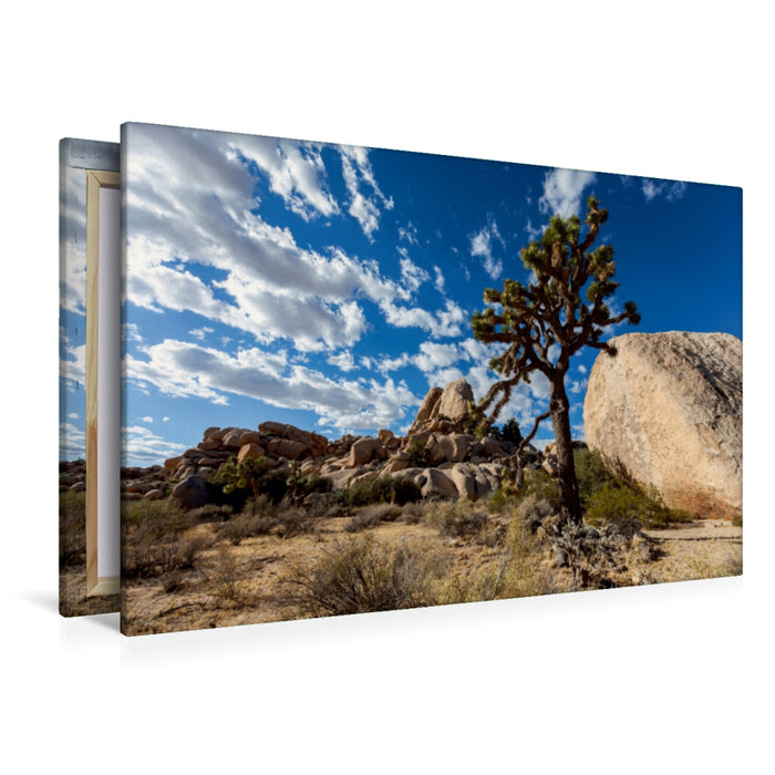 Premium Textil-Leinwand Premium Textil-Leinwand 120 cm x 80 cm quer Joshua Tree Nationalpark, Kalifornien