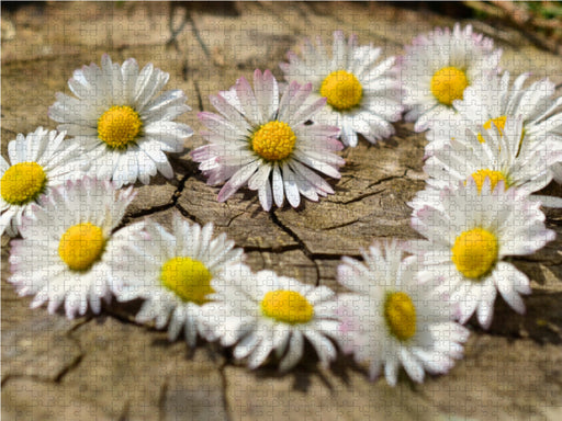 Herz aus Blumen - CALVENDO Foto-Puzzle - calvendoverlag 29.99
