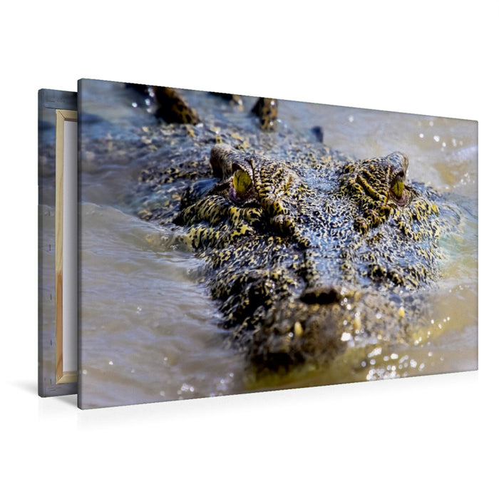 Toile textile premium Toile textile premium 120 cm x 80 cm paysage crocodile d'eau salée dans la rivière Adelaide 