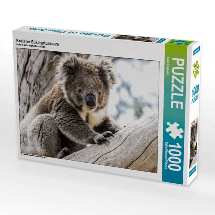 Koala  im Eukalyptusbaum - CALVENDO Foto-Puzzle - calvendoverlag 29.99