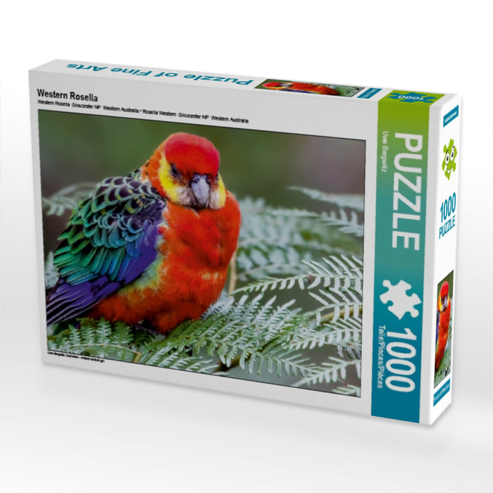 Western Rosella - CALVENDO Foto-Puzzle - calvendoverlag 29.99