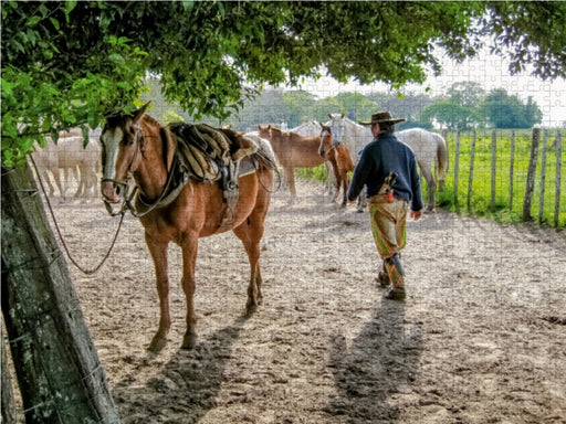 Gaucho - Estancia San Juan Poriahú - CALVENDO Foto-Puzzle - calvendoverlag 29.99