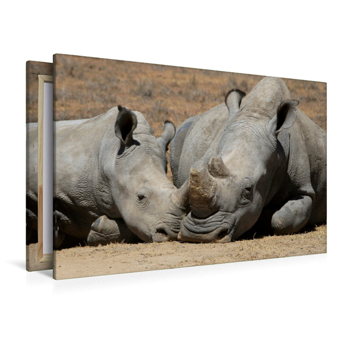 Toile textile premium Toile textile premium 120 cm x 80 cm paysage rhinocéros - temps des câlins 