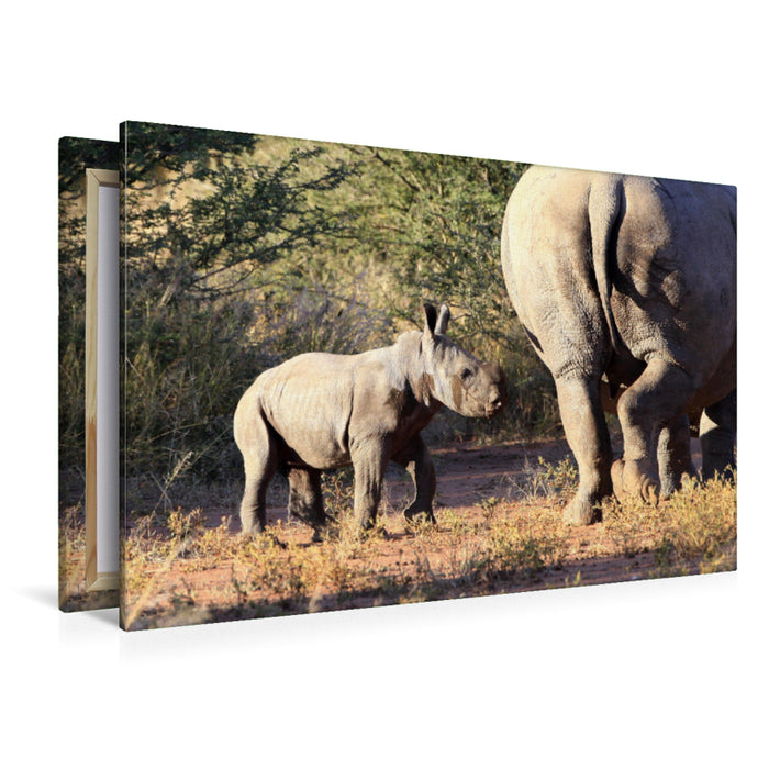 Toile textile premium Toile textile premium 120 cm x 80 cm paysage rhinocéros - nouveauté 