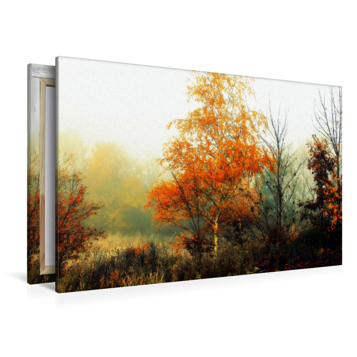 Toile textile haut de gamme Toile textile haut de gamme 120 cm x 80 cm Paysage Automne dans le Pennigbüttelermoor / Teufelsmoor 