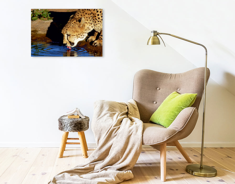 Premium Textil-Leinwand Premium Textil-Leinwand 75 cm x 50 cm quer Gepard