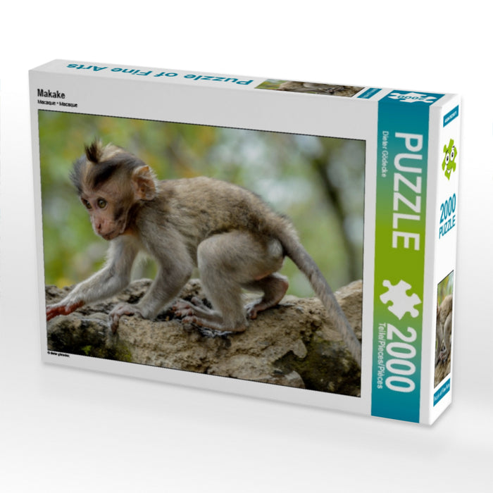 Makake - CALVENDO Foto-Puzzle - calvendoverlag 29.99