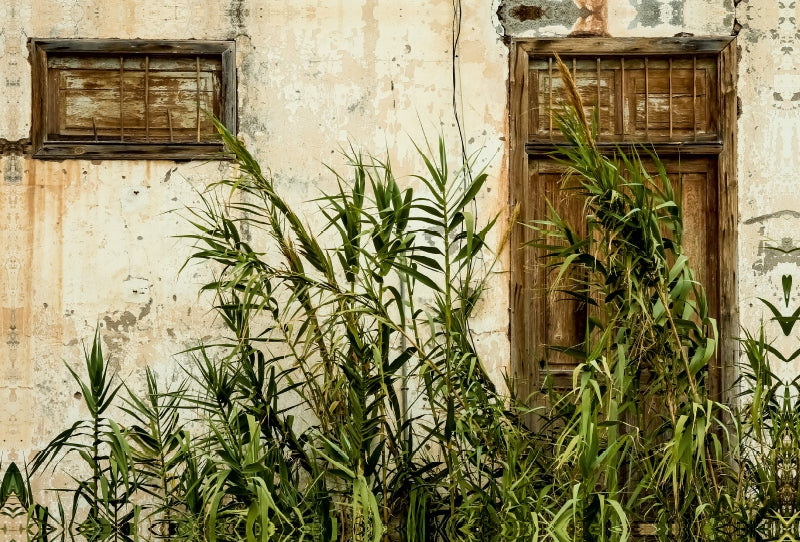 Toile textile premium Toile textile premium 120 cm x 80 cm paysage Expédition à La Gomera : Maison abandonnée, entrée envahie par la végétation 