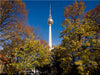 Fernsehturm am Alexanderplatz - CALVENDO Foto-Puzzle - calvendoverlag 29.99