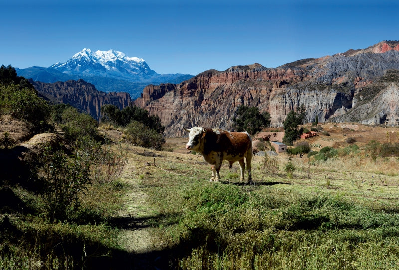 Toile textile haut de gamme Toile textile haut de gamme 120 cm x 80 cm à travers le Canyon de Palca, 3 465 m d'altitude. M., Bolivie 