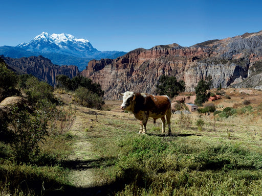 Canyon de Palca, 3.465 m ü. M., Bolivien - CALVENDO Foto-Puzzle - calvendoverlag 29.99