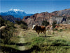 Canyon de Palca, 3.465 m ü. M., Bolivien - CALVENDO Foto-Puzzle - calvendoverlag 29.99