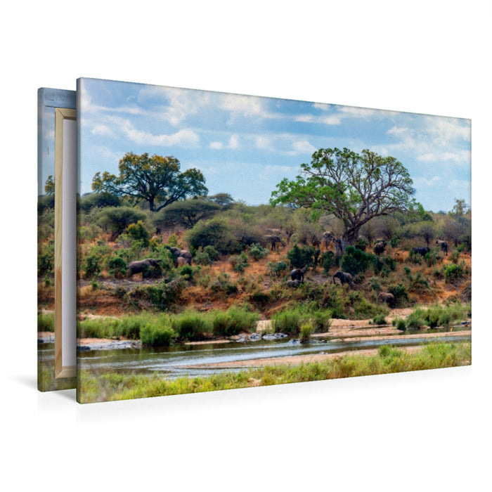 Premium Textil-Leinwand Premium Textil-Leinwand 120 cm x 80 cm quer Flusslandschaft mit Elefantenherde bei Skukuza, Kruger National Park