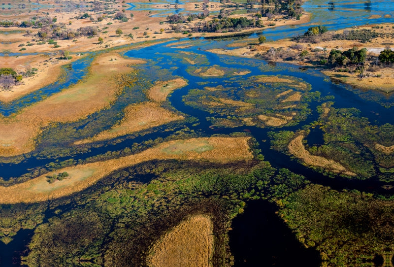Toile textile premium Toile textile premium 120 cm x 80 cm paysage Dans le delta de l'Okavango près de l'île de Bukwi 