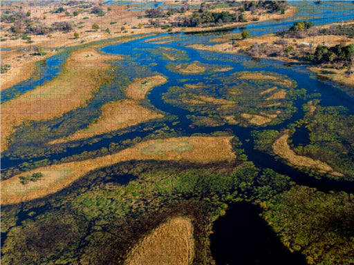 Im Okavango-Delta bei Bukwi Island - CALVENDO Foto-Puzzle - calvendoverlag 29.99