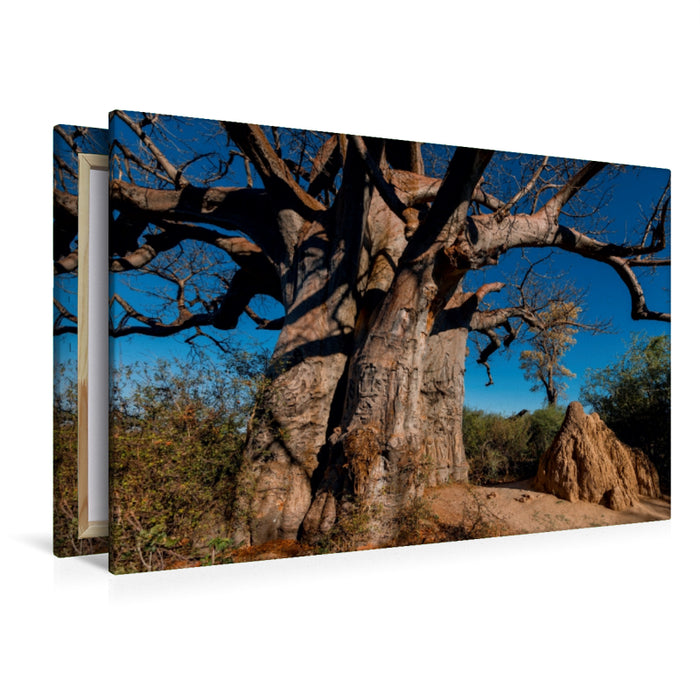 Toile textile premium Toile textile premium 120 cm x 80 cm de diamètre Baobab géant dans les Pans de Makgadikgadi 